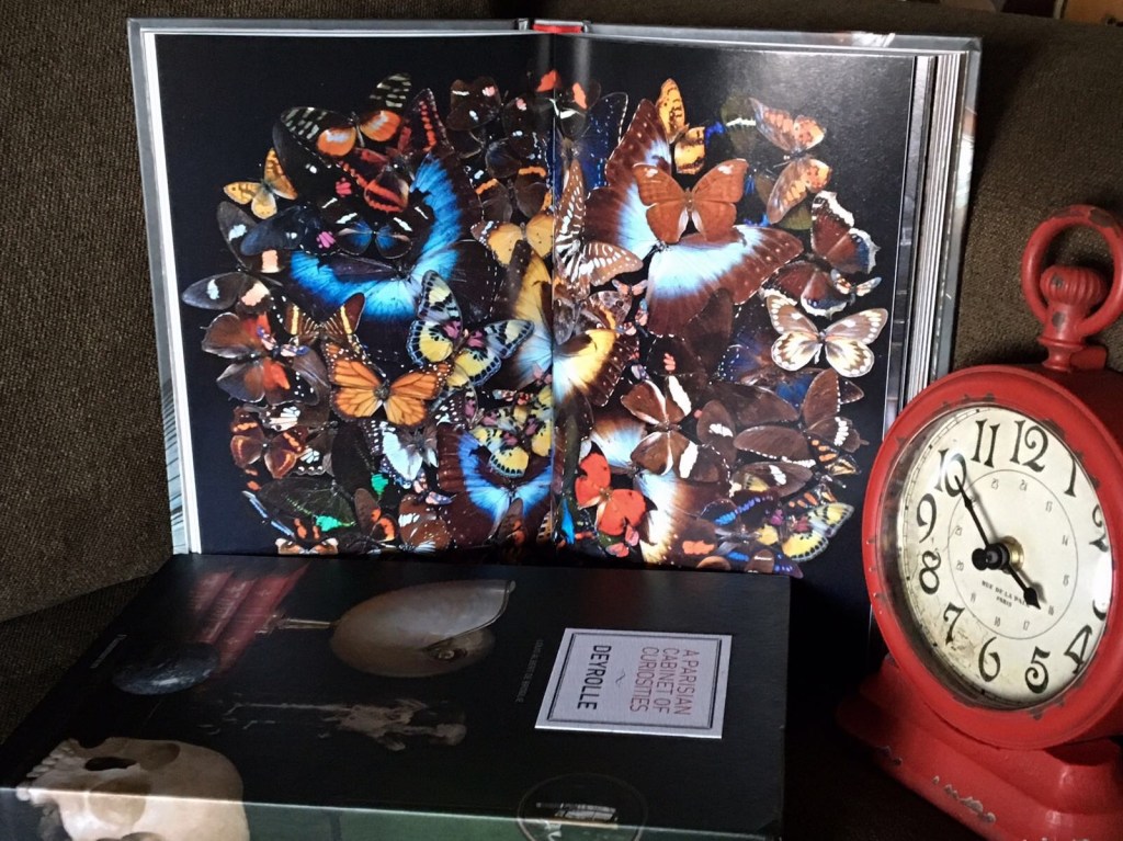 (Beau-Livre) « Deyrolle, un cabinet de curiosités » : les secrets de la&nbsp;taxidermie