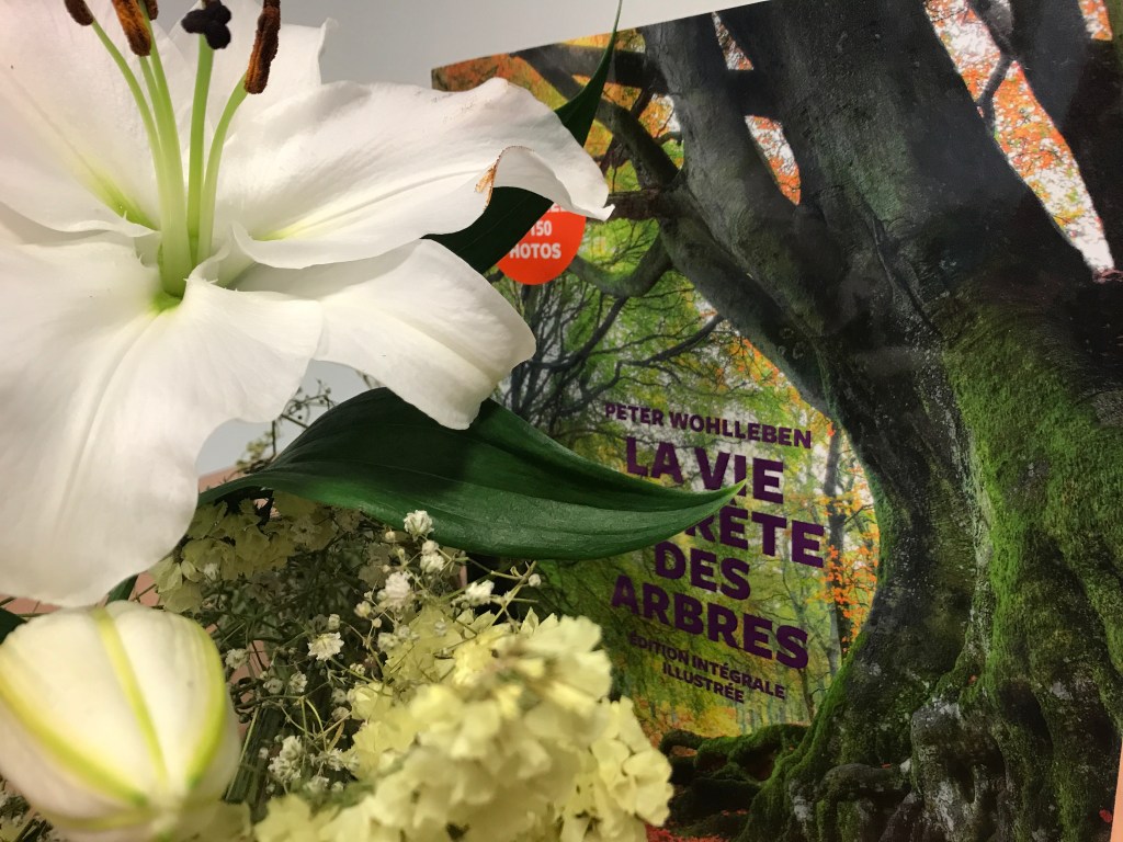 (Livre) « La Vie Secrète des Arbres » par Peter&nbsp;Wohlleben