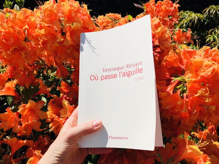 (Lecture) &laquo;&nbsp;Où passe l’aiguille&nbsp;&raquo; de Véronique&nbsp;Mougin