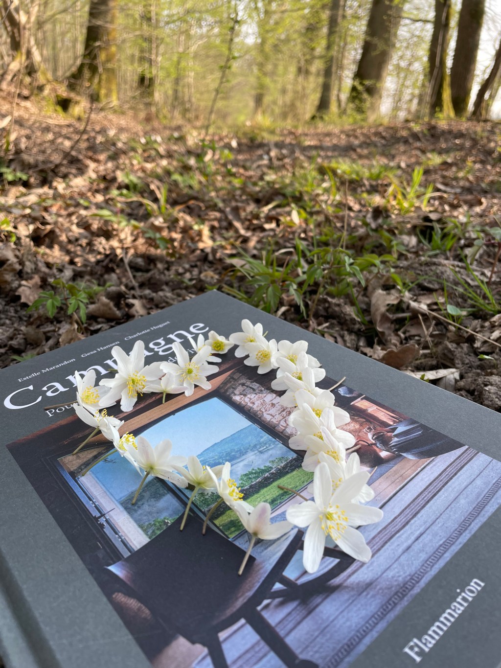 (Tendance) L’art de vivre à la campagne avec des filles dans le vent&nbsp;!