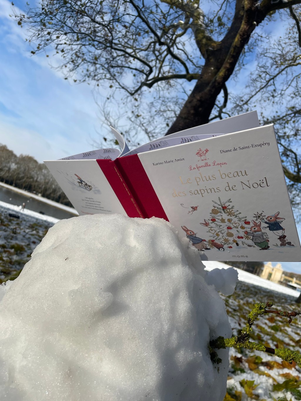 (Noël 2024) Tradition chez les éditions Mame : une montagne de livres sous le sapin&nbsp;!