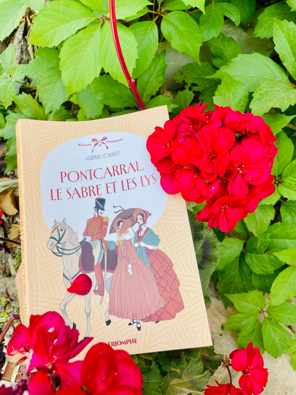 (Livre) Histoire et Sentiments: Plongée dans le Roman &lsquo;Pontcarral&rsquo;